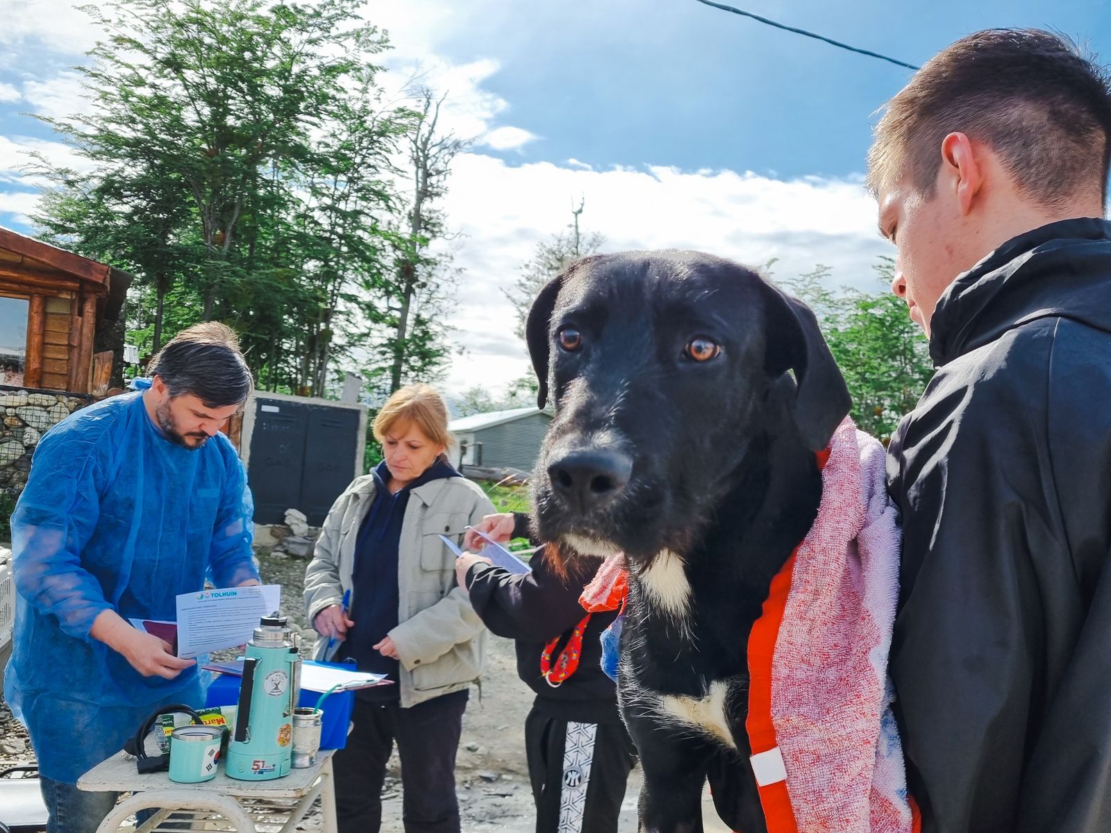 El año pasado las castraciones de perros y gatos aumentaron un 251%