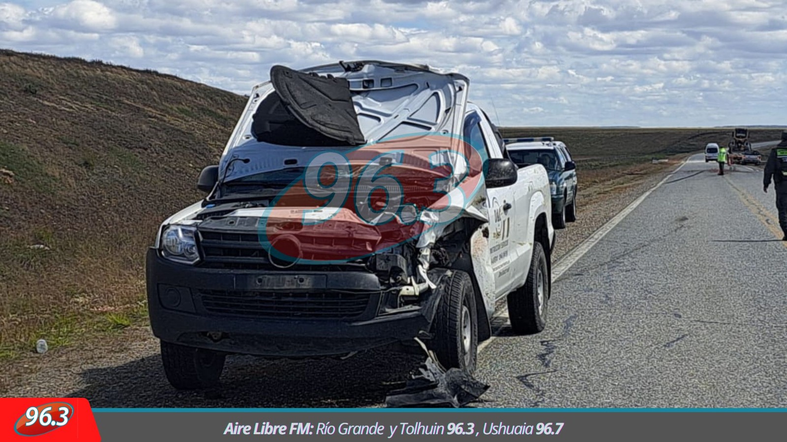 (VIDEO) Un guanaco cruzó por la Ruta 3 y casi provoca una tragedia