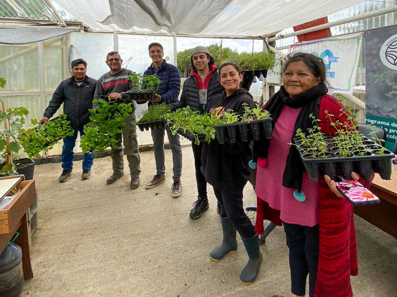 Estiman entregar casi 2 millones de plantines de verdura