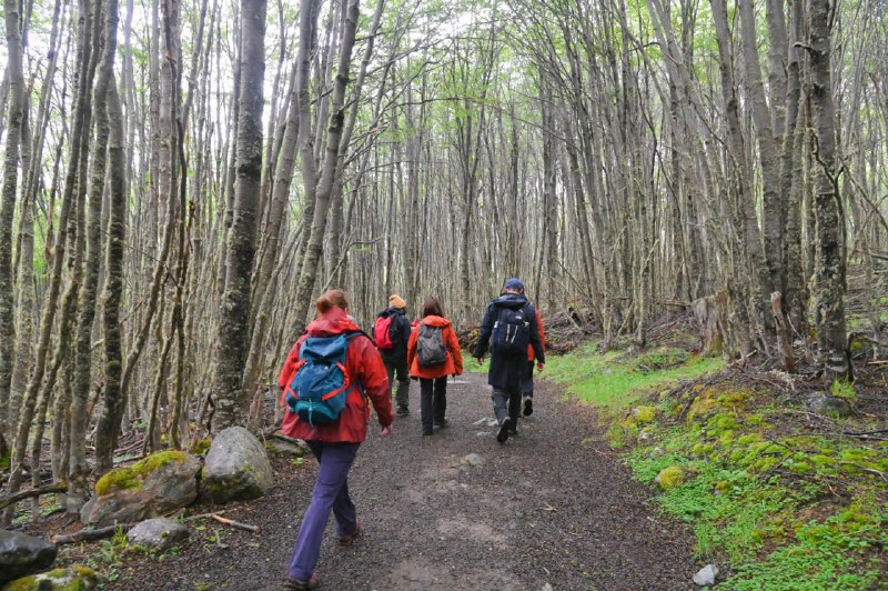 Senderos: La importancia de planificar las salidas al aire libre