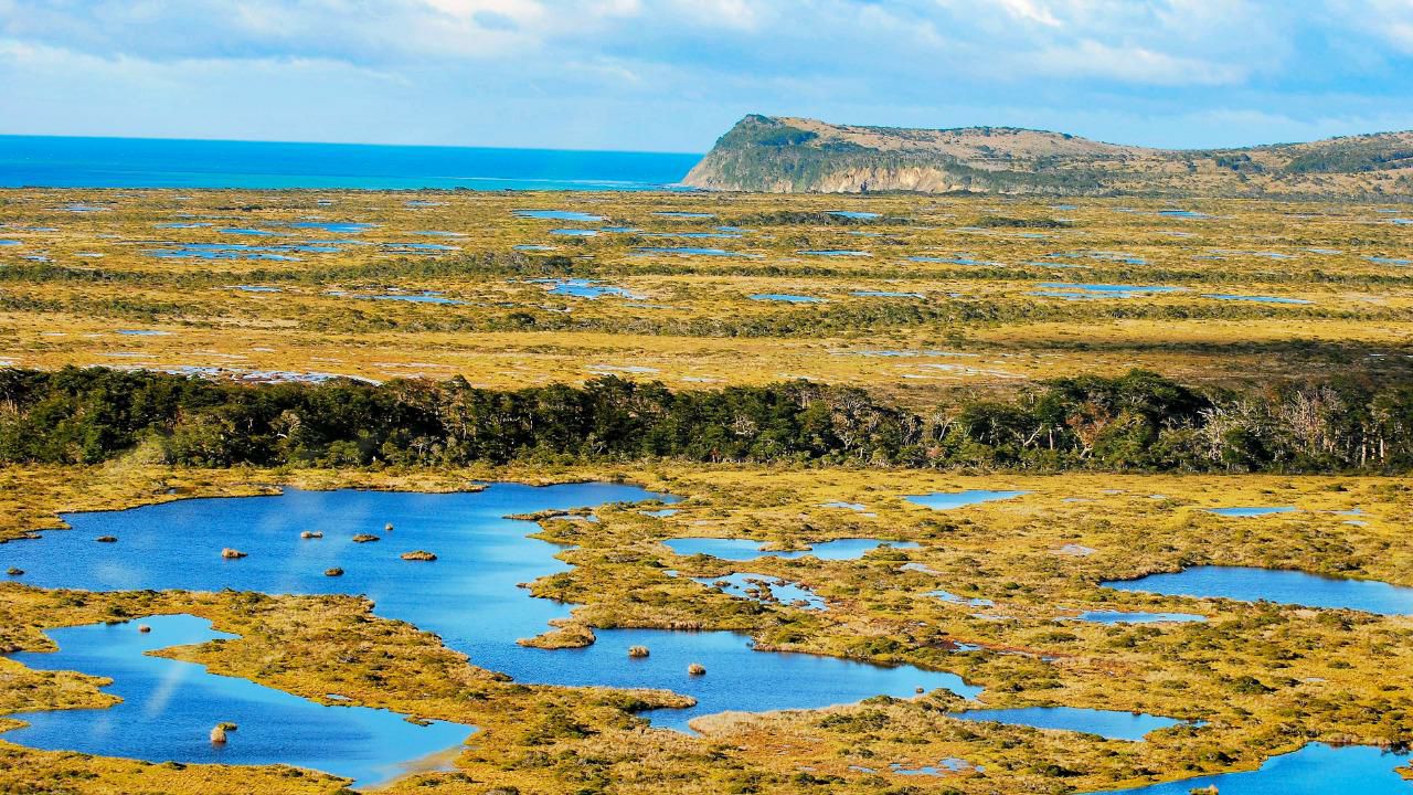 Península Mitre fue designada como &#8216;Sitio Ramsar&#8217; y se suma a la lista de humedales de importancia internacional